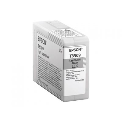 EPSON 5LB Singlepack Light Light Black