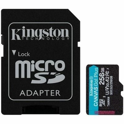 Kingston microSD, Canvas Go! Plus,R170/W90, 256GB
