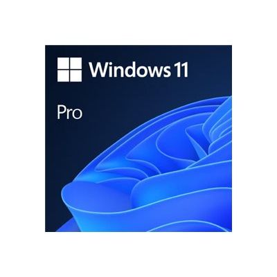 MS DSP Win 11 Pro 64Bit DVD OEM (EN)