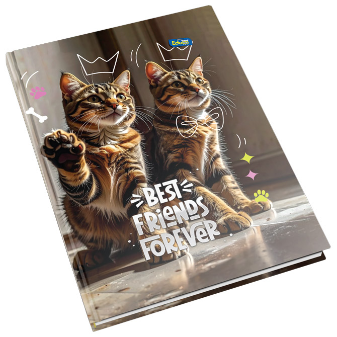 Teka tvrdi uvez A4 visoki karo  96L 60g Educa Cijena