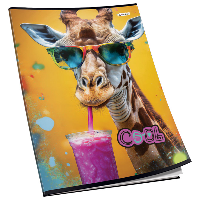 Teka meki uvez A4 karo 40+2L 80g glitter Connect sortirani motivi Cijena