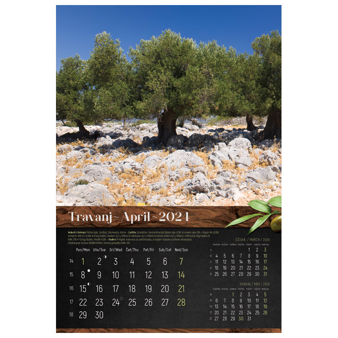 Kalendar “Masline 2023” 13 listova, spirala Cijena