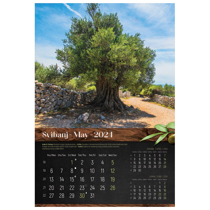 Kalendar “Masline 2023” 13 listova, spirala Cijena