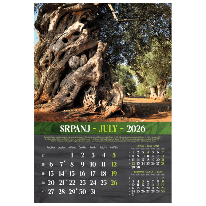Kalendar “Masline 2026” 13 listova, spirala Cijena