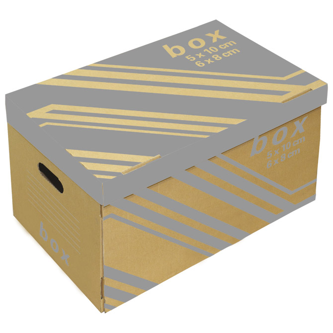 Kutija arhivska-kontejner za 6 registratora s poklopcem Fornax smeđa Cijena