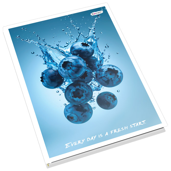 Teka tvrdi uvez A4 karo  80L 80g Premium Connect!! Cijena