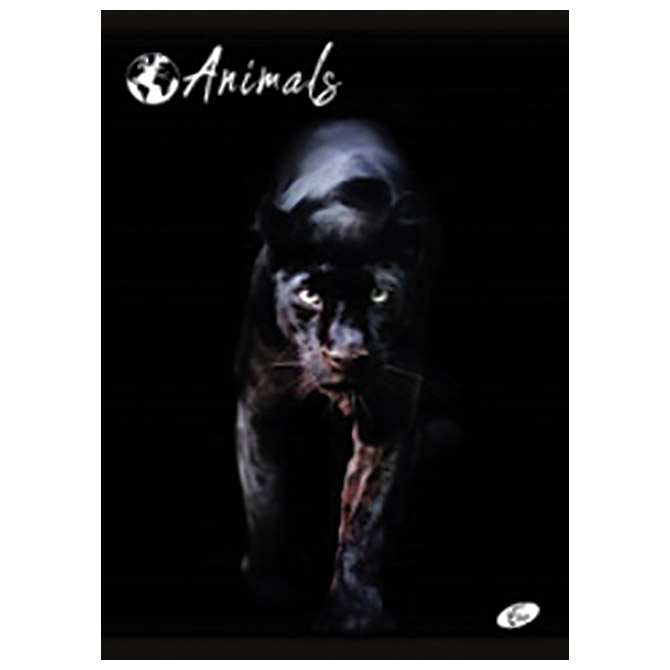 Teka meki uvez A4 karo 40+2L 80g Animal Elisa sortirani motivi Cijena