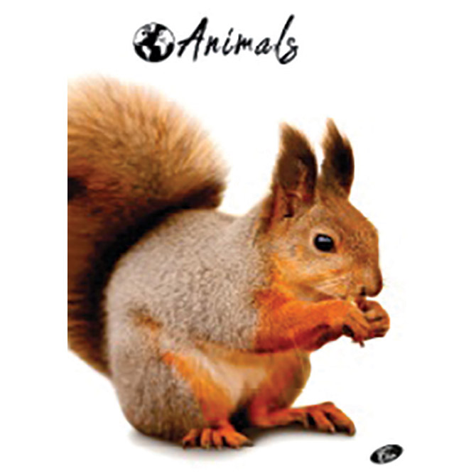 Teka meki uvez A4 karo 40+2L 80g Animal Elisa sortirani motivi Cijena