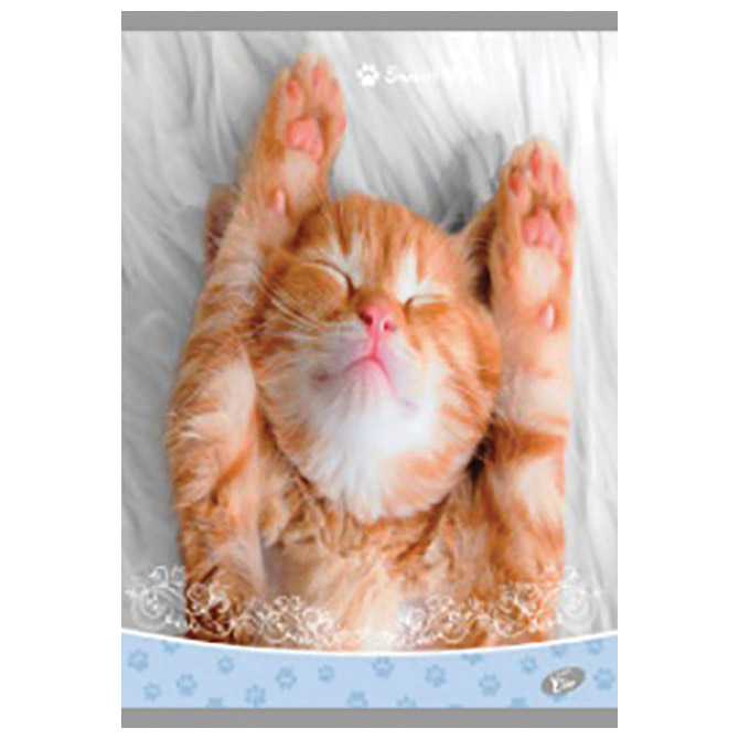 Teka meki uvez A4 karo 40+2L 80g Sweet pets Elisa sortirani motivi!! Cijena