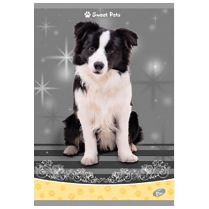 Teka meki uvez A4 karo 40+2L 80g Sweet pets Elisa sortirani motivi!! Cijena