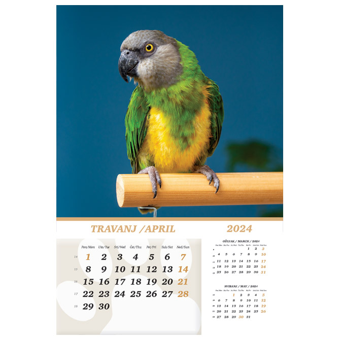 Kalendar “Kućni ljubimci 2024” 13 listova, spirala Cijena