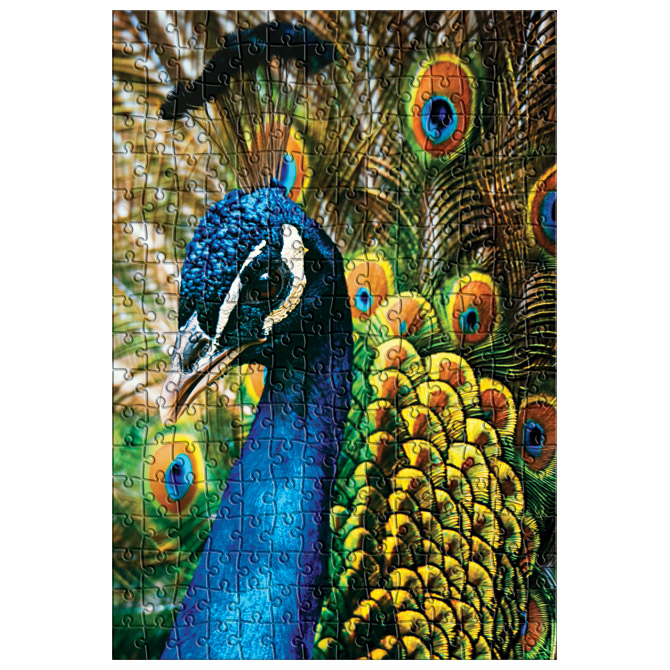 Puzzle 250 kom Colorful nature 1 Peacock Interdruk Cijena