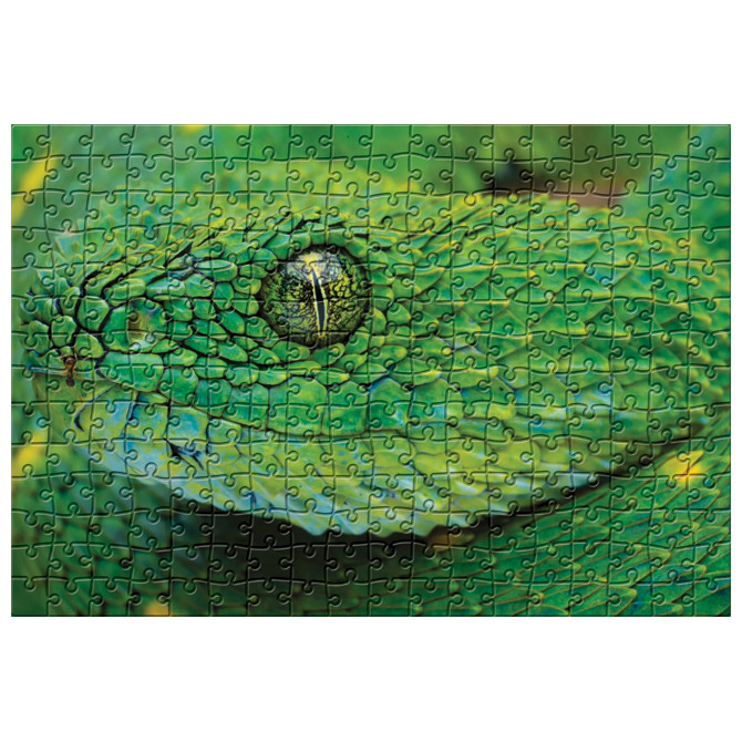 Puzzle 250 kom Colorful nature 4 Snake Interdruk Cijena