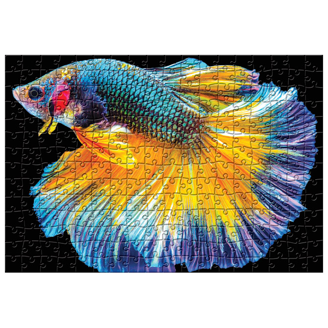 Puzzle 250 kom Colorful nature 6 Fish Interdruk Cijena