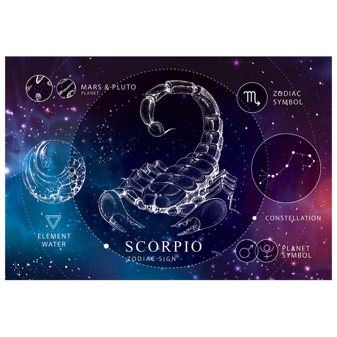 Puzzle 250 kom Zodiac 8 Scorpio (Škorpion) Interdruk Cijena