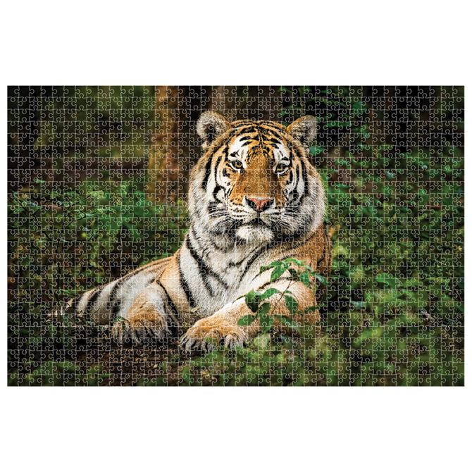 Puzzle 1000 kom Animal planet Tigar Diakakis 000570698 Cijena