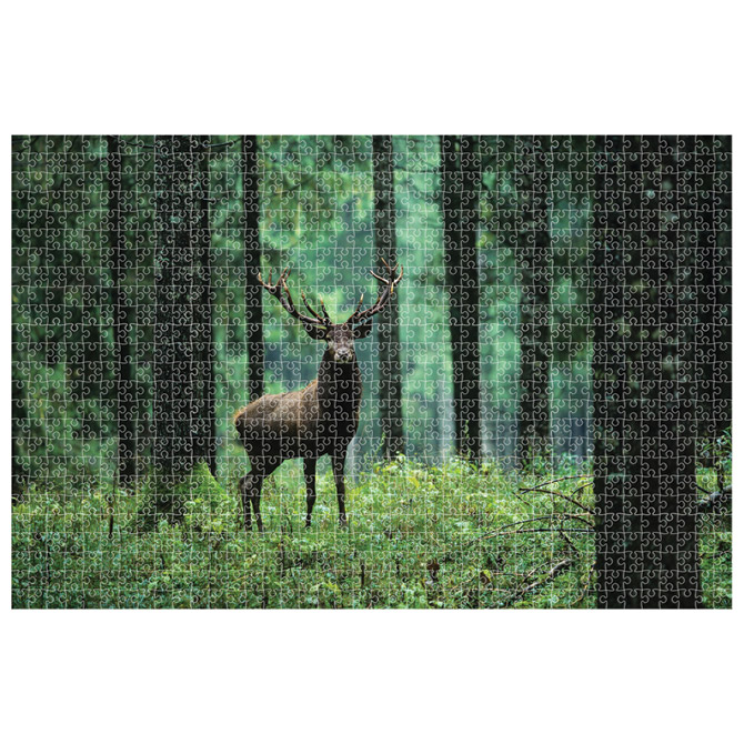 Puzzle 1000 kom Animal planet Deer Diakakis 000570696 Cijena