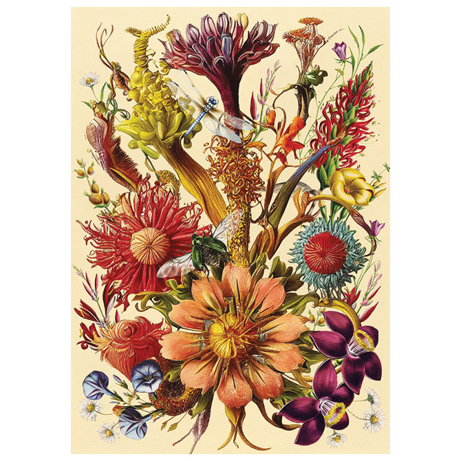 Puzzle 1000 kom Flowers 5 Interdruk Cijena