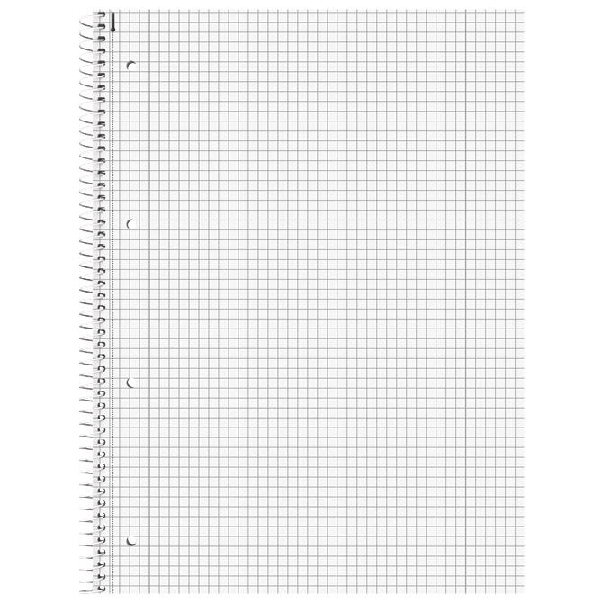 Blok kolegij A4 karo  80L perforacija+4rupe White Brunnen 10-67928 300 Cijena