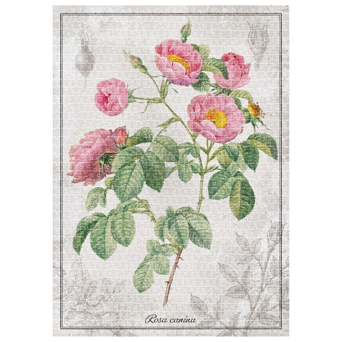 Puzzle 1000 kom tuba Botanic Rose Interdruk Cijena