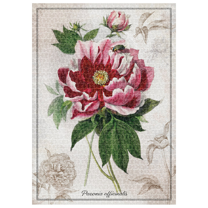 Puzzle 1000 kom tuba Botanic Peony Interdruk Cijena