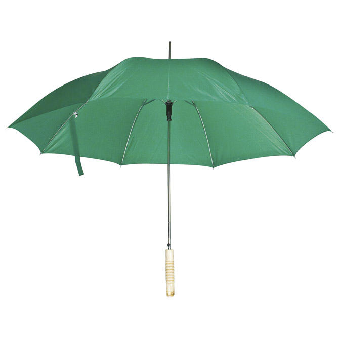 Kišobran automatik s drvenom drškom zeleni Cijena